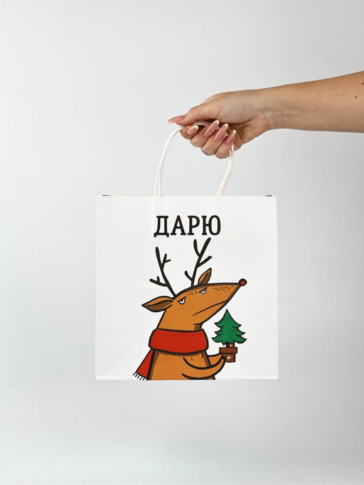 Набор пакетов крафтовых «Новогодний праздник»