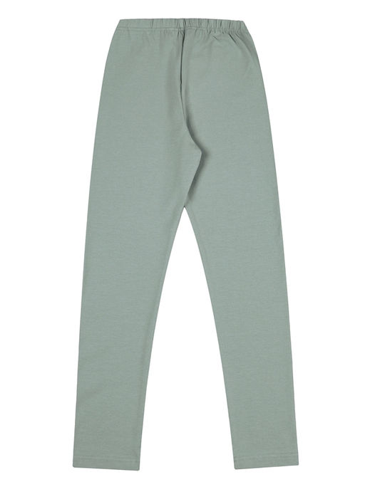 Легинсы 1ДРЛ1982804