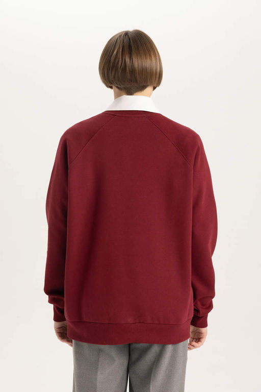 Толстый свитшот оверсайз с круглым вырезом - Defacto фото 6