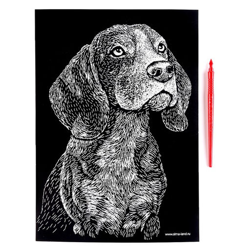 Гравюра «Бигль» с металлическим эффектом золота А4