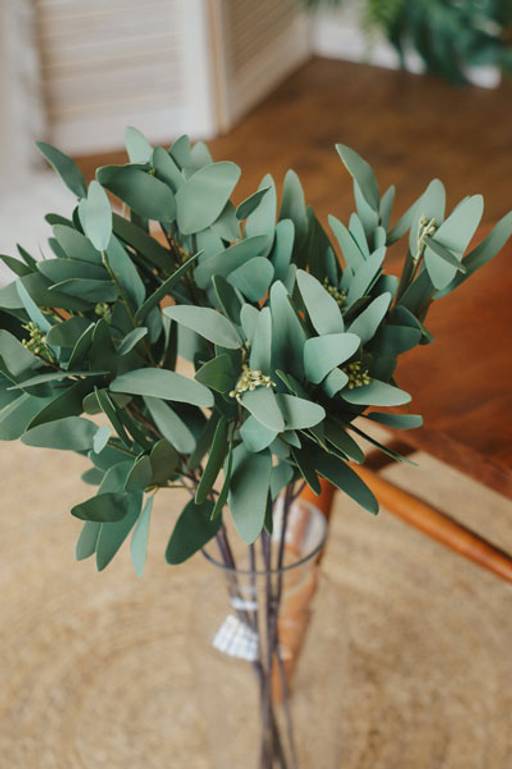 087 Эвкалипт Николя - Без тм фото 2