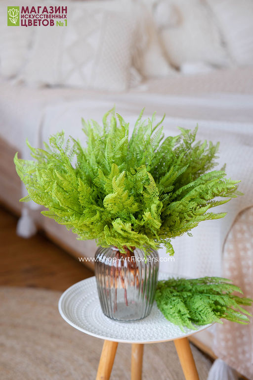 108 Папоротник - Без тм фото 6