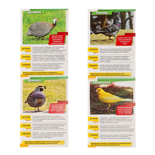 Мини-энциклопедии Мир животных, 8 шт. по 20 стр. - Буква-ленд фото 3