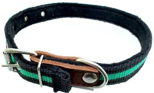 Ошейник АмунициоНН капрон 25 мм на ватине мод.726