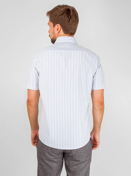 Сорочка мужская короткий рукав CASINO c131/0/6821/Z