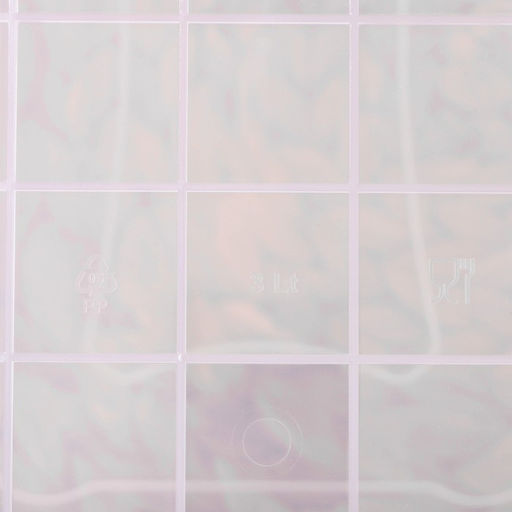 Контейнер пищевой, 3 л, 28×16×12 см, прямоугольный, прозрачный, ручки МИКС