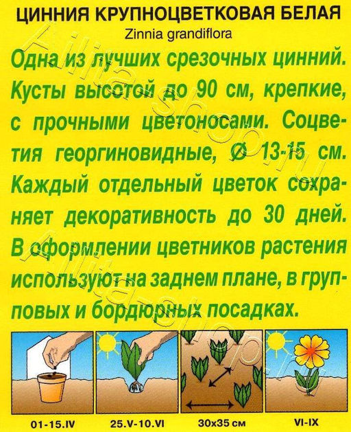 Цинния Крупноцветковая белая 0,3г (Аэлита)