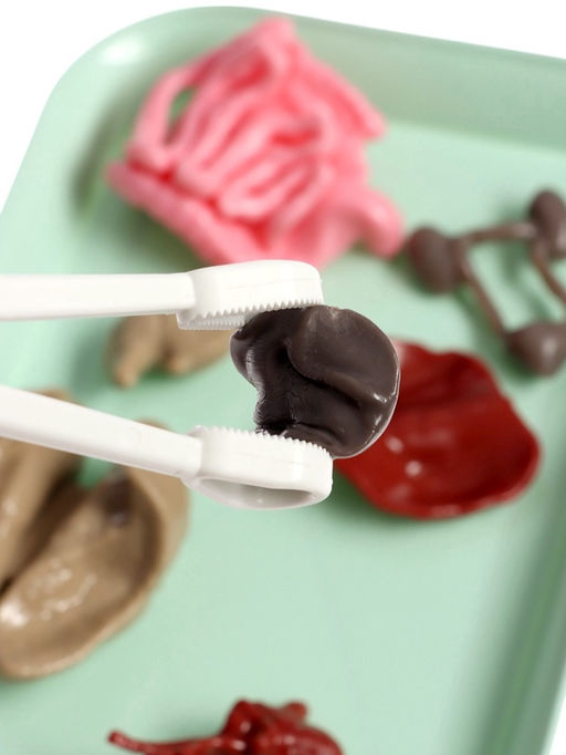 Набор для опытов по анатомии Строение тела, светится в темноте, с мягкими органами - Эврики фото 15