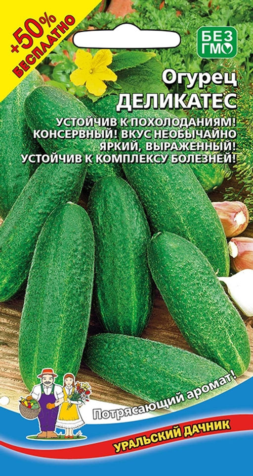 Огурец ДЕЛИКАТЕС Устойчив к похолоданиям! Консервный! Вкус необычайно яркий, выраженный! Устойчив к болезням!