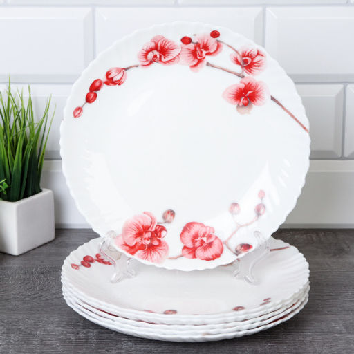 Набор тарелок 6 штук 215 мм / 36/LHP-FW4 (6755) /уп 2/ Орхидея на ветке - Галеонтрейд фото 2