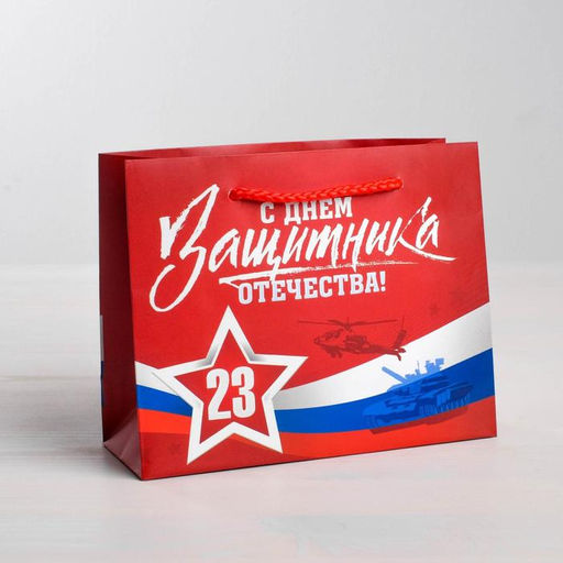 Пакет подарочный ламинированный, упаковка, «С Днем защитника Отечества», L 31 х 40 х 11.5 см