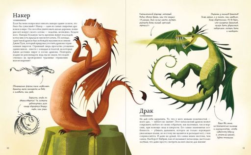 БОЛЬШАЯ КНИГА О ДРАКОНАХ