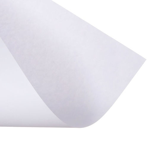 Набор 5 листов, ватман, чертежный, А0, 840×1189, 160 г/м²