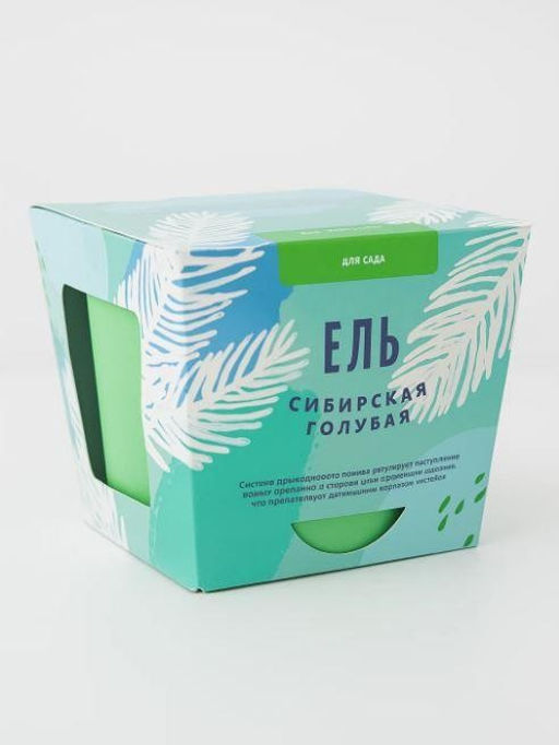 Набор для выращивания "Тысяча листьев", "Ель сибирская голубая"