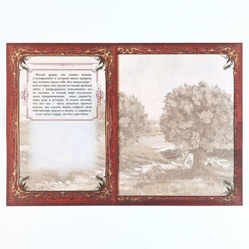 Родословная книга в шкатулке новогодняя «Каждый день», 26×8×27 см