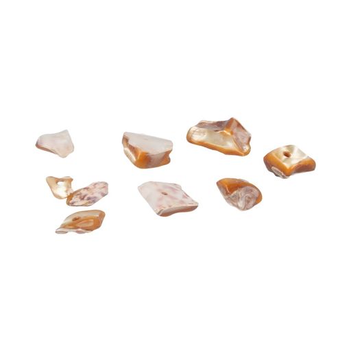 Zlatka Ракушки декор. D20-02 13 x 7 мм 5 х 20 г №02 коричневый  фото 3