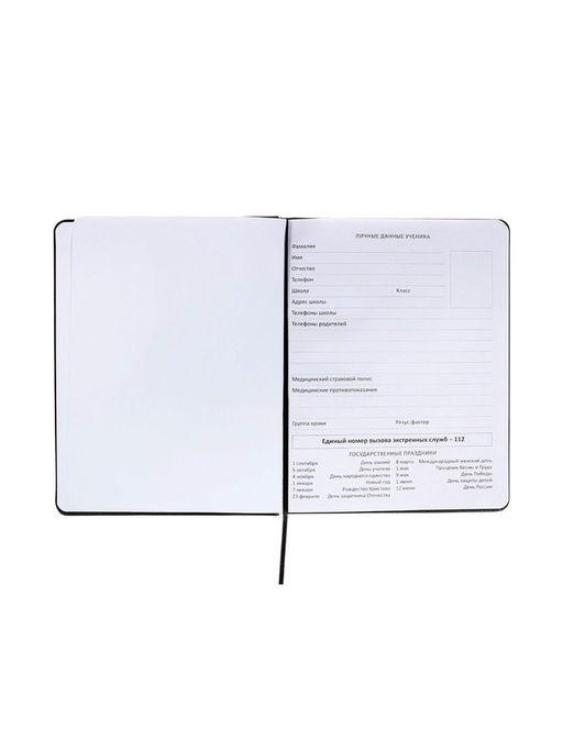 Дневник школьный 1-11 класс, deVENTE. Bee, ляссе, искусственная кожа, черный