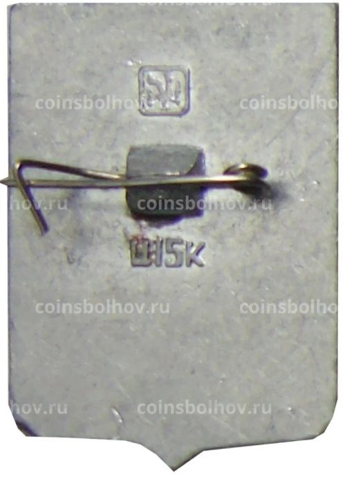 Значок Моршанск