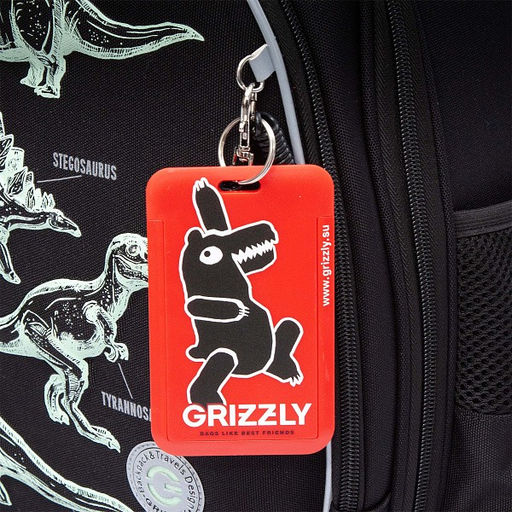 RAz-587-5 Рюкзак школьный - Grizzly фото 32