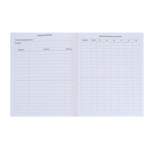 Дневник школьный для 1-11 классов Favorite, мягкая обложка, на кнопке, искусственная кожа, тиснение фольгой, хлястик, ляссе, 48 листов