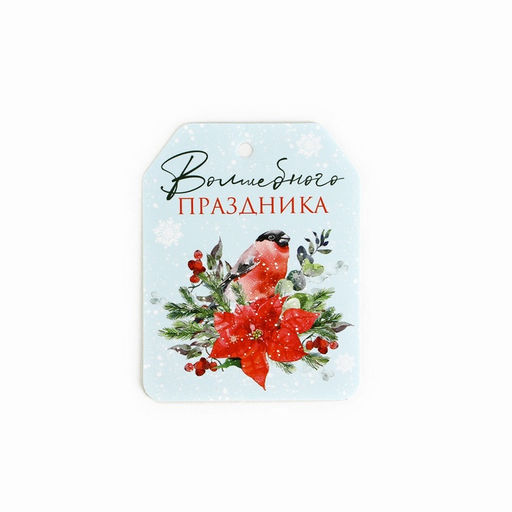 Цена за 10 шт. Шильдик новогодний на подарок «Верь в чудеса», набор 6 штук, 16×24 см