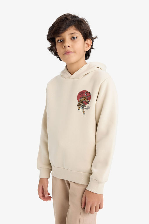 Kap__onlu S_rt Bask_l_ __i Yumu_ak T_yl_ Sweatshirt Erkek _ocuk - Defacto фото 4