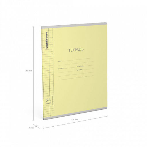 Цена за 160 шт. Тетрадь школьная ученическая ErichKrause Классика Visio ассорти, 24 листа, линейка (в плёнке по 10 шт.) фото 50