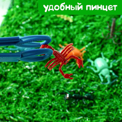 Развивающий набор Умные букашки: резиновые фигурки, полянка, по методике Монтессори - Iq-zabiaka фото 5