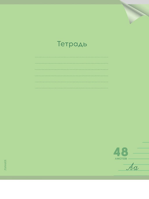 Цена за 2 шт.Тетрадь 48л. Prof-Press "Классика. Салатовая" линия (48-1480) пластиковая обложка