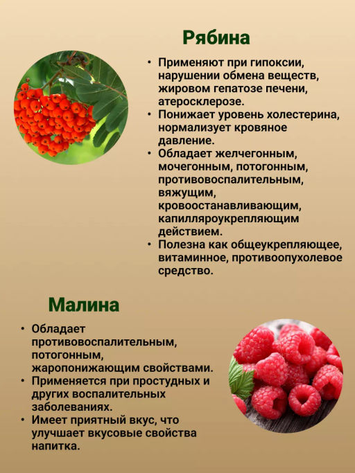 Травяной чай Витаминный с облепихой и малиной, 40 г (20 ф/п по 2 г) Алфит 7670 фото 8