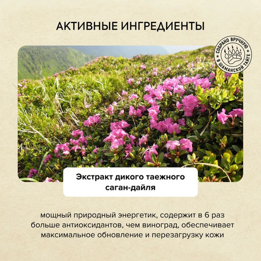 Гель для душа Био. Кедровое SPA, 400 мл / Doctor Taiga / Natura Siberica  фото 8