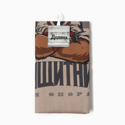 Набор полотенец кухонных Доляна. Настоящий защитник, 35?60 см - 2 шт., рогожка, хлопок 100%, 160 г/м?