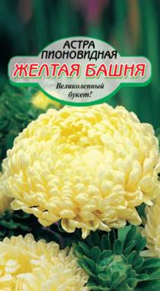 Желтая башня астра 0,2гр (ссс)