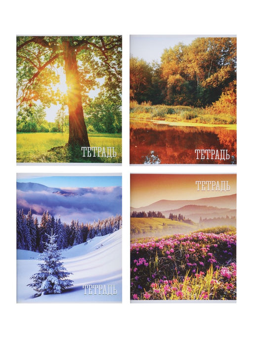 Комплект тетрадей, 48 листов в клетку, Calligrata «Времена года», серые листы, 4 штук