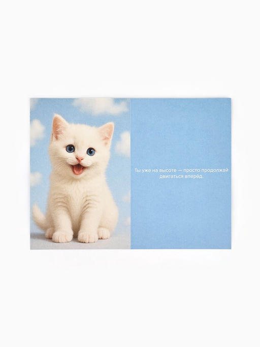 Цена за 10 шт. Открытка «Мечта», 12×18 см