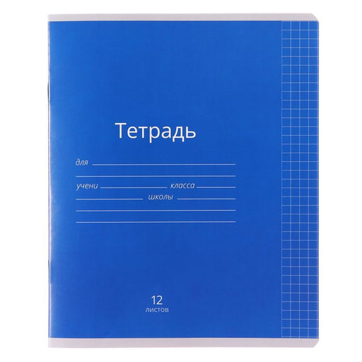 Цена за 20 шт. Тетрадь 12 листов в клетку Calligrata «Однотонная Классика яркая», обложка мелованная бумага, ВД-лак, блок офсет, белизна 95%, МИКС