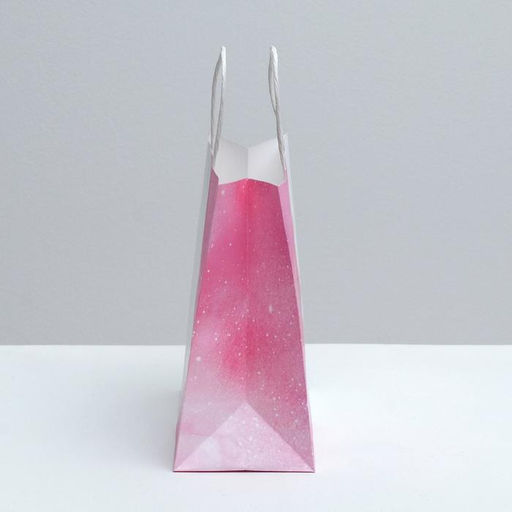 Пакет подарочный крафтовый, упаковка, Present for you, 22?25?12 см