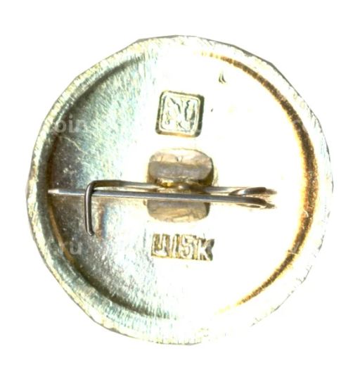 Значок Золотое кольцо  Ростов Великий