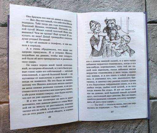 Профессор кислых щей. Рассказы (ил. А. Босина)