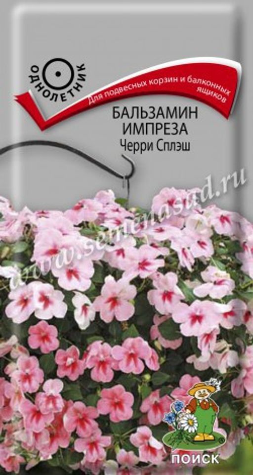 Бальзамин Импреза Черри Сплэш (ЦВ) ("1)10шт