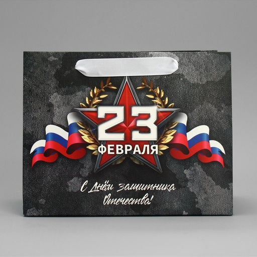Цена за 2 шт. Пакет подарочный ламинированный, упаковка, «23 февраля», MS 23×18×10 см