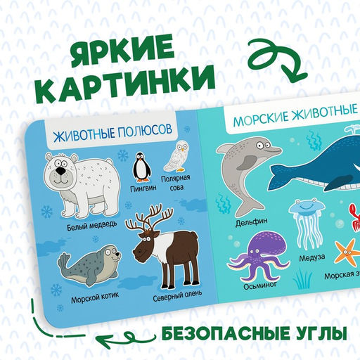 Картонная книга Первая книга. Удивительные животные, 10 стр., 15 15 см, Синий трактор  фото 7