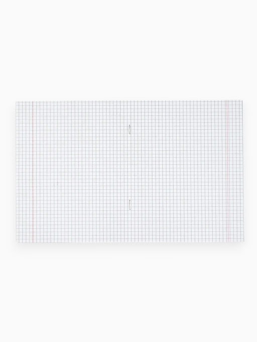 Тетрадь А5, 12 листов на скрепке в клетку Градиент, 5 видов МИКС, белизна 96% . - Artfox study фото 24