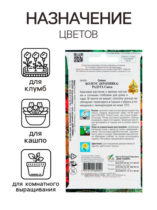 Цена за 2 шт. Семена комнатных цветов Колеус "Блюма Радуга", 130 шт.
