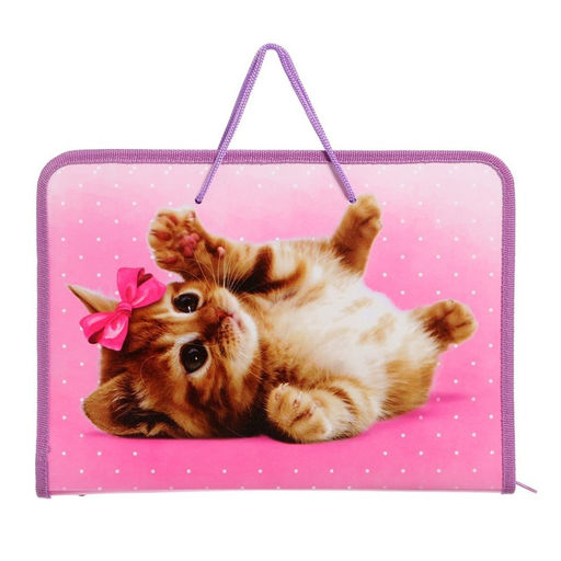 Папка для труда, А4, пластиковая, 32.5?23?2.5 см Самая милая