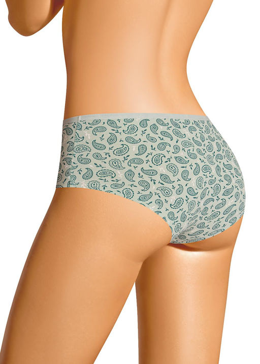 SH1225/1 Трусы жен. Капибара (ЧЗ)