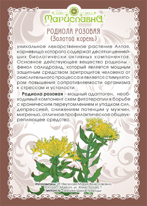 Родиола розовая (Золотой корень), (корень) - Мариславна фото 2