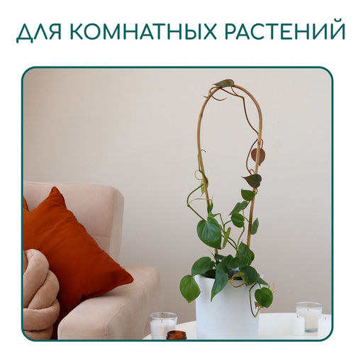 Цена за 3 шт. Дуга для подвязки растений, h=40 см, бамбук, Greengo