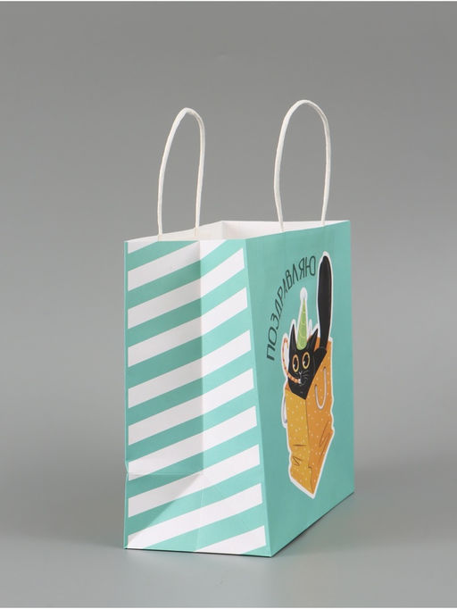 Цена за 2 шт. Пакет подарочный «Поздравляю», 22 × 22 × 11 см