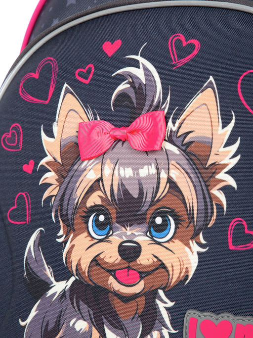 Рюкзак школьный SK1-32 - Steiner фото 20